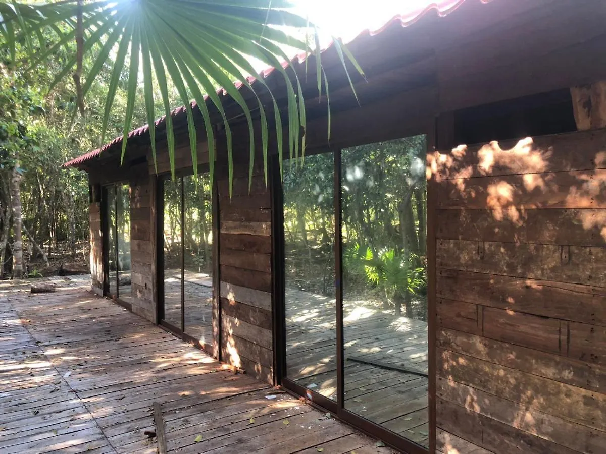 Nagual Yoga Jungle Retreat @Route De Cenote Villa Puerto Morelos